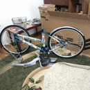 фото Stels Navigator 300 Lady 28' Z010 | покупатели 100bike